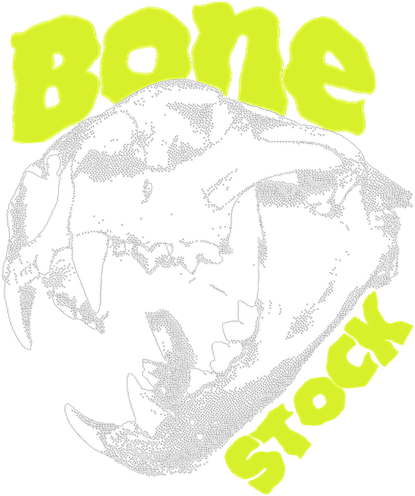 BONE STOCK